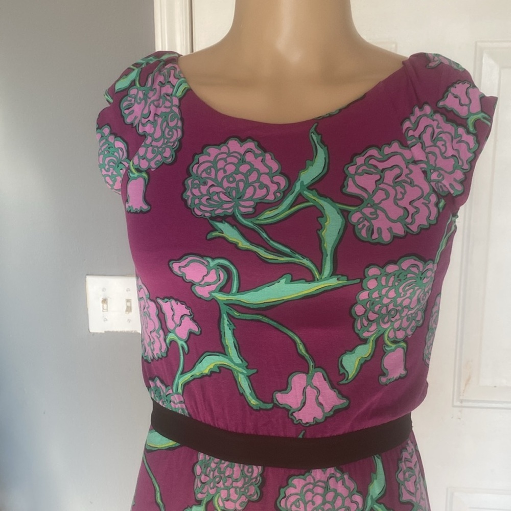 Lilly Pulitzer dress - Picture 2 of 8